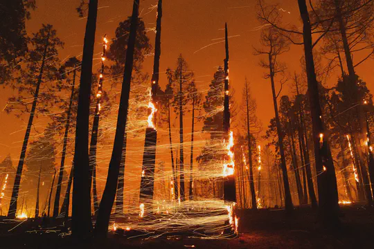 Wildfire Ember Transport Modeling